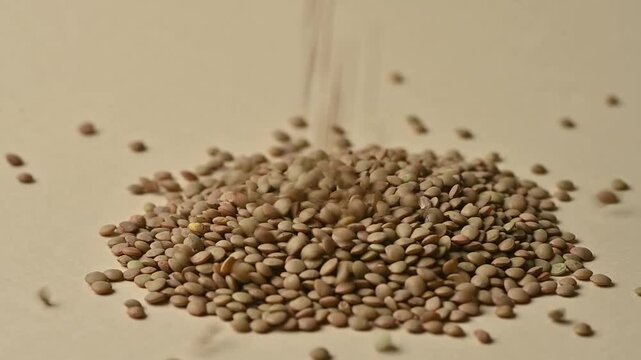 Close-up studio shot of raw organic brown lentils pouring onto a pile on a beige background. Healthy vegan food ingredient