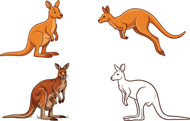 Kangaroo Vector Illustration Set Featuring Australian Marsupial Animals Jumping Standing Outline Style and Mother with Joey in Pouch © Manharul