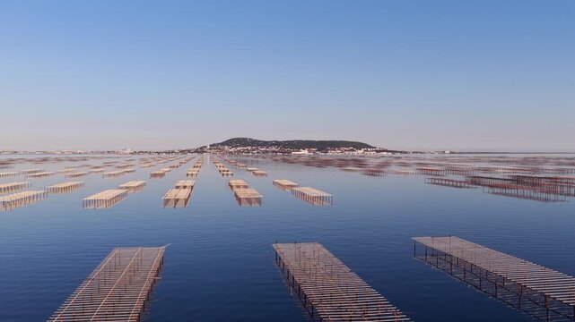 The Thau lagoon and its tables at sunset