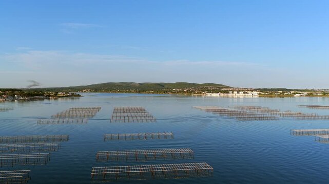 Aerial view of Bouzigues on the Thau Lagoon, in the H&eacute;rault department, Occitanie region, France