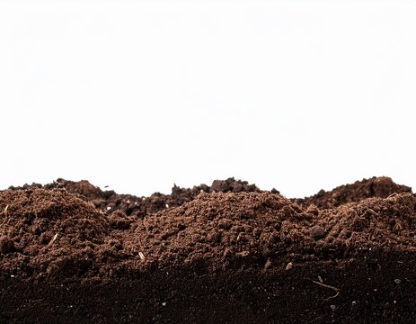 humus soil bottom border pile isolated on white or transparent