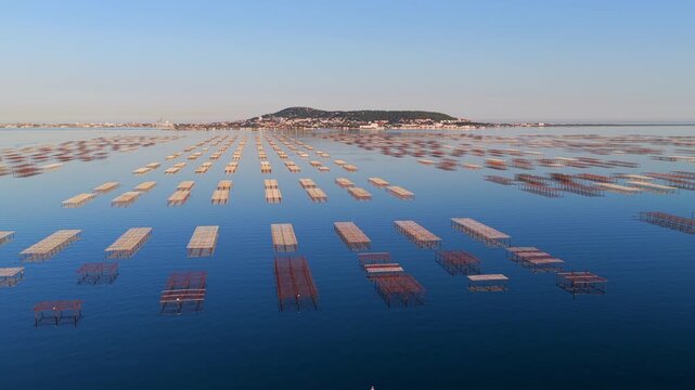 The Thau lagoon and its tables at sunset