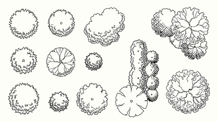 Set of various handdrawn tree top view symbols isolated on white background © SampaRani