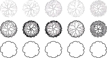 Set of various tree top view symbols for architectural landscape design © SampaRani
