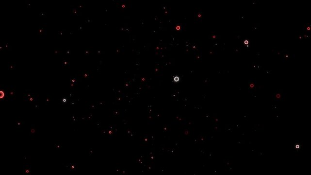 Red Orbs and Particles on a Black Background circles