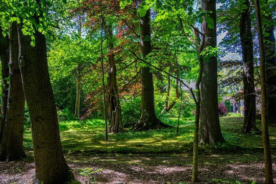 Green historic park Landgoed Overcingel in Assen
