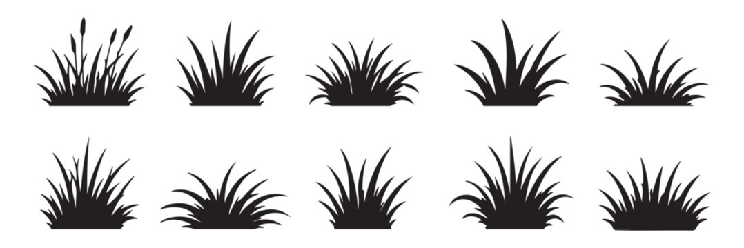 Set of grass silhouette vector icons with seed heads, natural plant design, landscaping, botanical illustration, gardening, nature, black art. Grass and reed silhouettes with cattails, bushes, tree