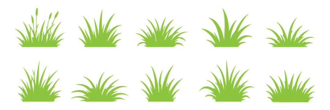 Set of grass silhouette vector icons with seed heads, natural plant design, landscaping, botanical illustration, gardening, nature, black art. Grass and reed silhouettes with cattails, bushes, tree