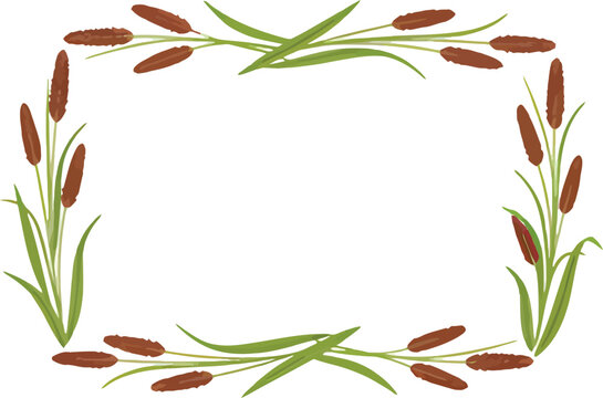Rectangular Cattail Border: A decorative rectangular border crafted from cattail reeds and their elongated green leaves, creating a rustic and natural frame for text or imagery.