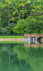 Obraz premium Wooden pier pier and green trees reflecting in a calm park pond. Outdoors