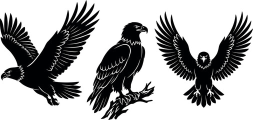 Fototapeta premium Three black eagle silhouettes flying and standing