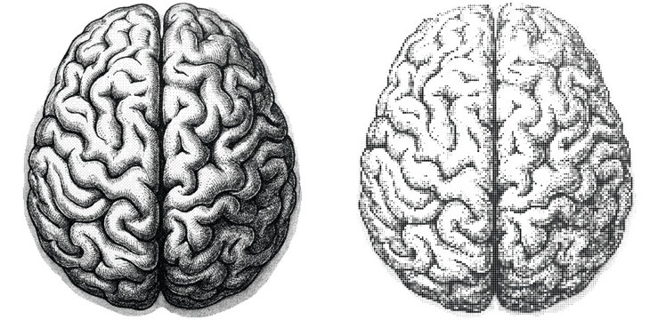 Human brain top view engraving illustration with vintage halftone dither texture