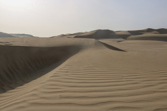 Wind Shaped Desert Sands