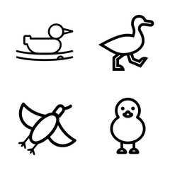 Obraz premium Cute Bird Outline Icon Collection With Duck Chick Sparrow And Goose Minimal Vector Illustration