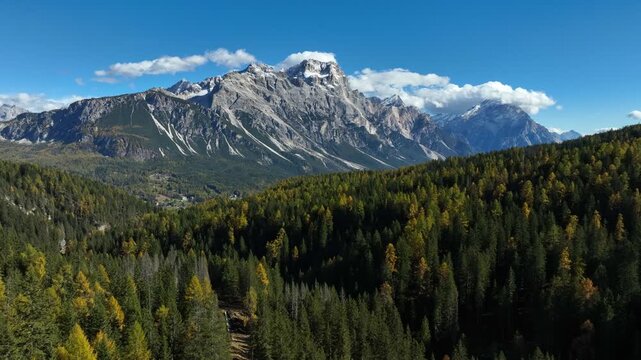 Autumn Forest Pedestal Ascent Flight
