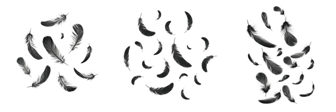 Falling Black Feathers PNG Set - Realistic Floating Crow, Raven, or Angel Plumes Pattern, Dynamic Soft Down Fluff Elements Isolated on Transparent Background for Gothic Creative Overlays and Graphic D