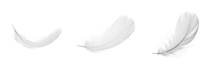 White bird feather PNG set, isolated soft floating down feathers transparent background, elegant lightweight angel plume illustration, delicate decorative element cutout bundle for © ploki