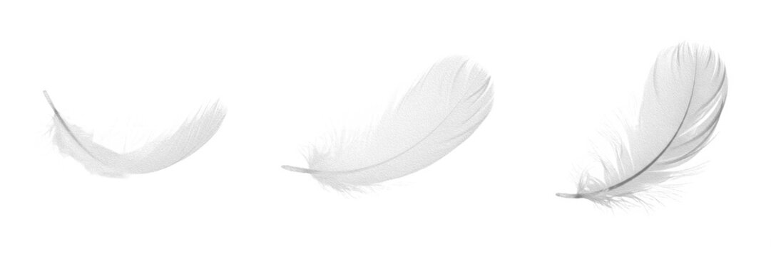 White bird feather PNG set, isolated soft floating down feathers transparent background, elegant lightweight angel plume illustration, delicate decorative element cutout bundle for
