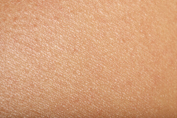 Fototapeta premium Texture of normal skin as background, closeup