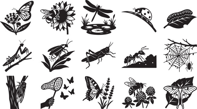 Collection of black and white insect silhouettes in nature scenes Vector