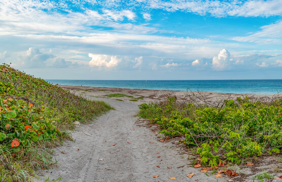 road to the beach Juno Florida
