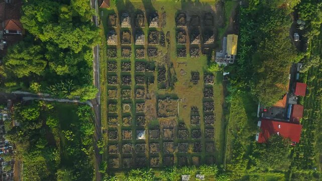 Aerial view of Plaosan Kidul Temple archaeological site with stone stupas in a grid surrounded by lush trees and village houses in Kecamatan Prambanan, Jawa Tengah, Indonesia.