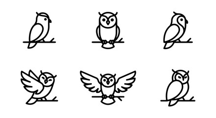 Fototapeta premium Set of owl icons, line art style, various poses of owls sitting on branches and flying