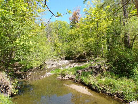 Spring landscape of the park