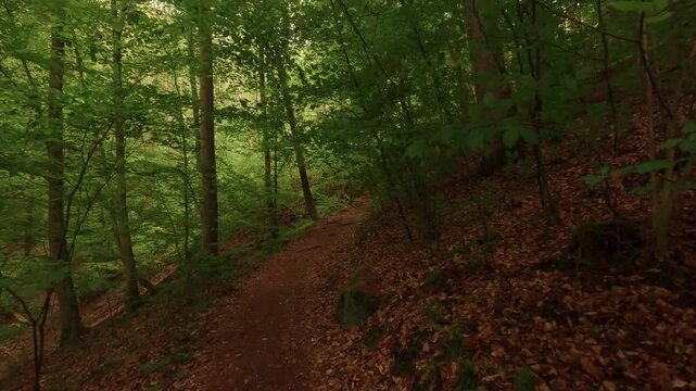 Hiking through a gorge featuring waterfalls, winding through a forest of deciduous trees, with a forest floor of soil and rocks.