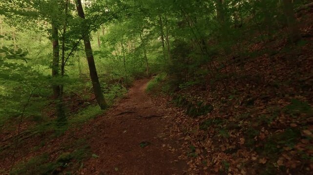 Hiking through a gorge featuring waterfalls, winding through a forest of deciduous trees, with a forest floor of soil and rocks.