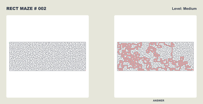Logical challenge rect maze #002 labyrinth game grid medium level