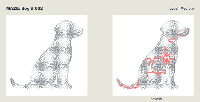 Sitting canine shape maze challenge with answers 002