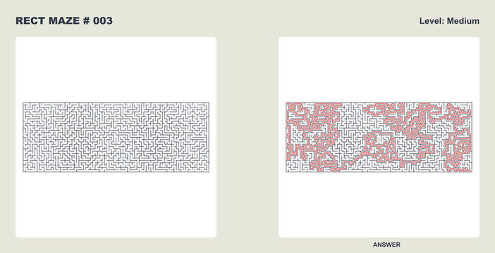 Strategy puzzle rect maze #003 labyrinth game grid with answer