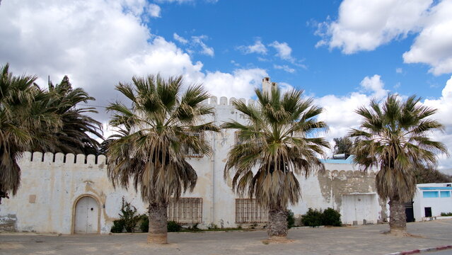 Palm trees in front of a modern, white parapet wall around a property in Hammamet, Tunisia