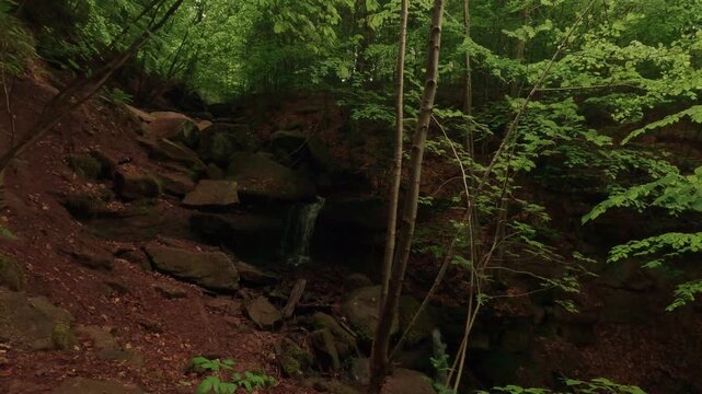 Hiking through a gorge featuring waterfalls, winding through a forest of deciduous trees, with a forest floor of soil and rocks.