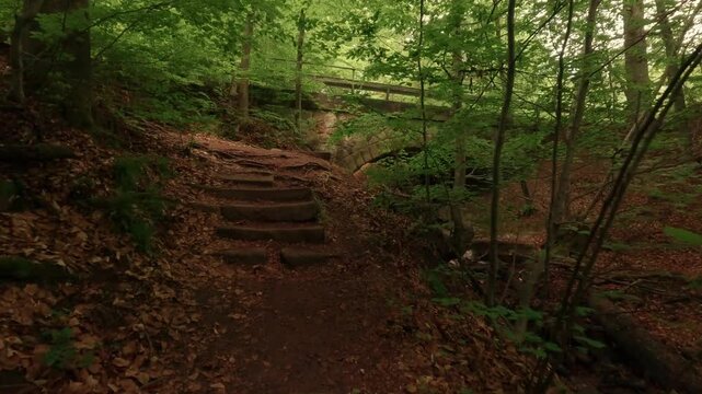 Hiking through a gorge featuring waterfalls, winding through a forest of deciduous trees, with a forest floor of soil and rocks.