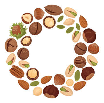 Cartoon illustration of mixed nuts and seeds arranged in a circular wreath frame featuring almonds pistachios hazelnuts and pecans for healthy food design