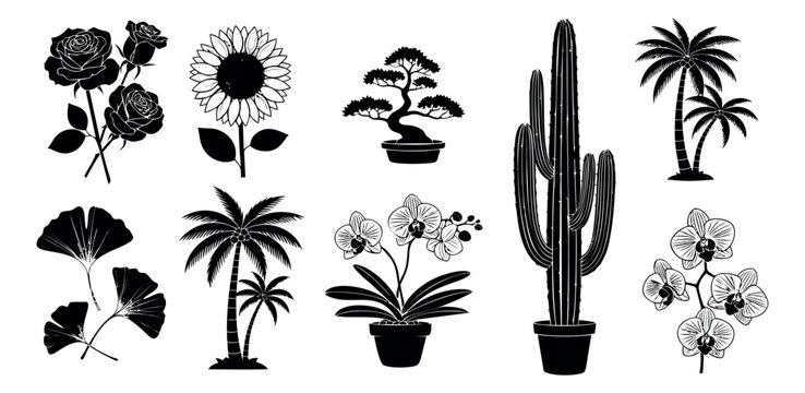 Silhouette icon set of 9 botanical plants featuring roses, sunflower, bonsai, cactus, palm trees, orchid and ginkgo for nature design