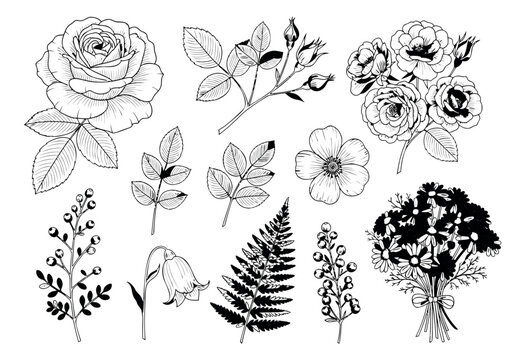 Engraving botanical set of 13 floral elements featuring roses, fern, berries and wildflower bouquets for wedding design