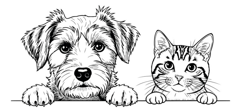 Sketch illustration of a dog and cat peeking over an edge depicting curious pets for animal lover and veterinary design