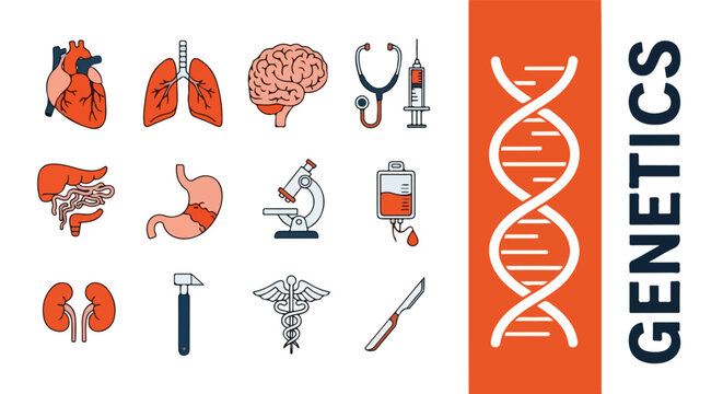 Human Respiratory and Circulatory Pain Icons. Medical Illustration. Flat Vector. Smooth. Healthcare.