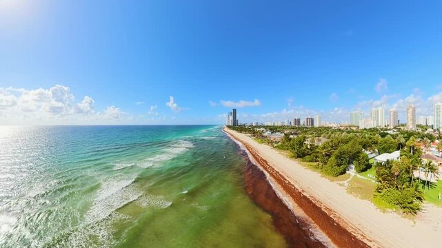 Extreme Sargassum seaweed on Florida beach 2026