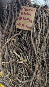 Raw Fijian kava roots from Kadavu for sale at local market with price tag in capital city Suva, Fiji in South Pacific