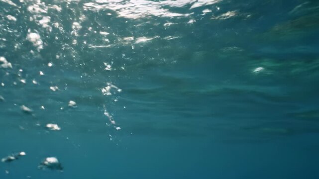 A perfectly stable wide video of a serene split-level view revealing crystal-clear blue water with ascending pearlescent air bubbles, diffused golden hour light. Concept of ecological harmony