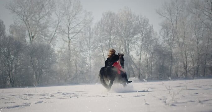 Beautiful woman galloping a powerful horse in a snowy winter forest