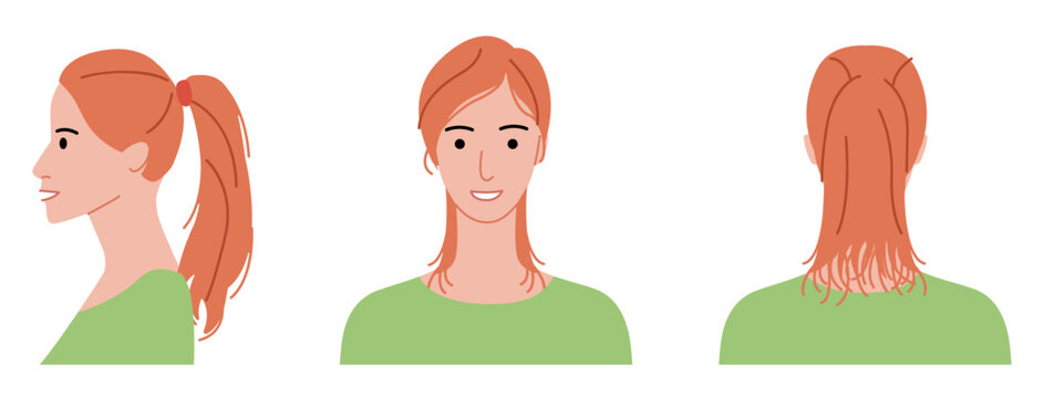 Ponytail hairstyle flat vector front back profile views, tied hair shape long tail composition for avatar, beauty app, interface, fashion illustration