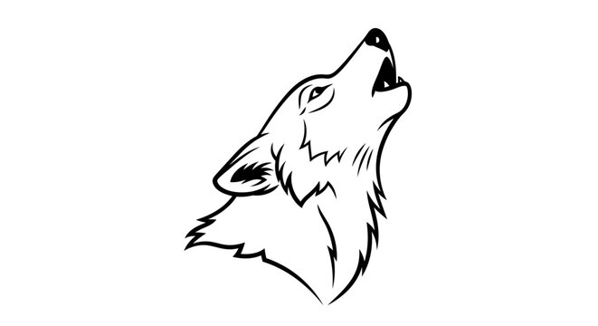 Howling wolf head line art illustration. Wild animal drawing in black and white graphic style, majestic predator.