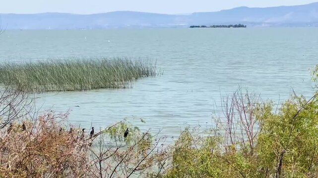Agua en movimiento en lago de Chapala en Jalisco