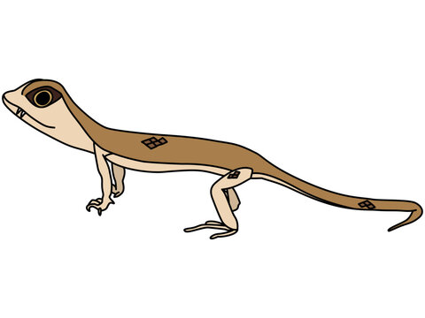石炭紀のペトロラコサウルスのデフォルメイラスト