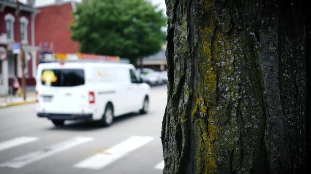  Crime Scene Setter - Blurry Traffic Near Trees Along Road in City